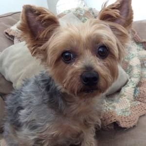 Meet your Posher, Rene